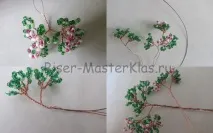 мъниста-masterclass бонсай