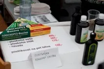 всичко което канабиса
