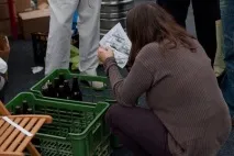 Като цяло чехия