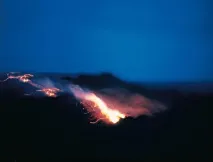 Цай Гоцян порох