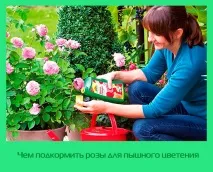 храним закрити
