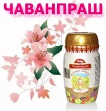 онлайн chyawanprash
