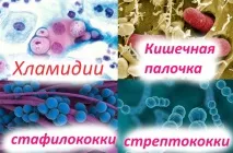 дитини