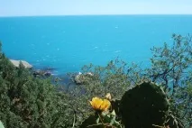 какво