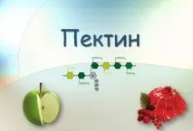 Що не можна їсти щоб знизити холестерин основи правила холестерин