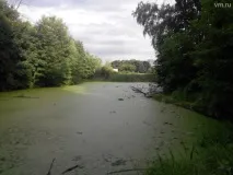 река бистра