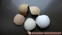 клас нашата гривна