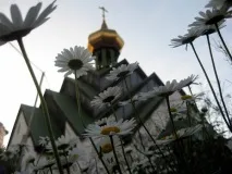 цветя като символ слънчевото