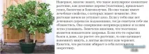 свойства лечебни