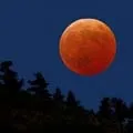свічок