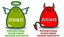 Дієта при підвищеному холестерині, правильний вибір продуктів. вибір