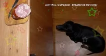 колко данък
