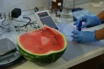 Дві причини, через які українські продукти можуть бути гіршими від білоукраїнських українські