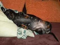 намери думата