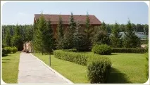 Фігурна стрижка рослин у Челябінську, Ландшафтний дизайн садів та ділянок стрижка