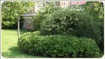 Фігурна стрижка рослин у Челябінську, Ландшафтний дизайн садів та ділянок ландшафтний