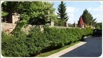 Фігурна стрижка рослин у Челябінську, Ландшафтний дизайн садів та ділянок рослин