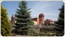 Фігурна стрижка рослин у Челябінську, Ландшафтний дизайн садів та ділянок фігурна
