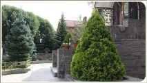 Фігурна стрижка рослин у Челябінську, Ландшафтний дизайн садів та ділянок ландшафтний