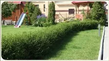 Фігурна стрижка рослин у Челябінську, Ландшафтний дизайн садів та ділянок ландшафтний