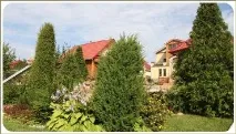 Фігурна стрижка рослин у Челябінську, Ландшафтний дизайн садів та ділянок челябінську