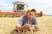 Фермери на межі виживання, закупники збивають ціни хліборобам, Клуб експертів зернового ринку фермери