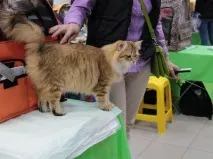 изложбата фоторепортаж