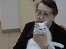 zootver очарователни