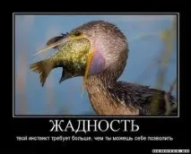 Фінансова піраміда МММ, Мійбізнес Фаберлік мійбізнес