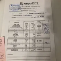 ЄвроВІТ, ветеринарний центр в Омську на 70 років Жовтня, 20 — відгуки, адреса, телефон, фото років