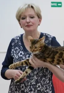 изложбата котки