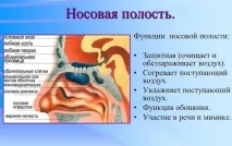 функции функции