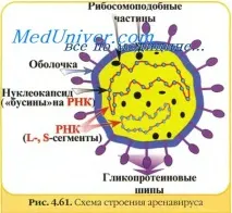 трески хеморагична треска