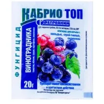 летни cabrio