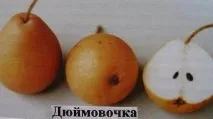 снимка снимка