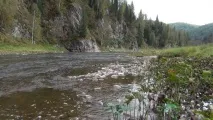 резерват басеги