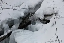 зимна зимна