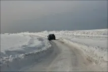 сладко ревен сладко ревен