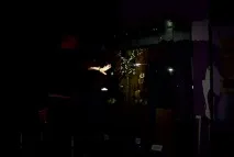 ДТРК - Амур - З Благовіщенська до Зазейського почав ходити теплохід амур
