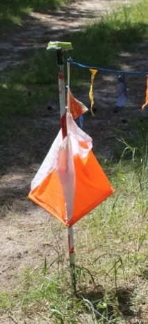 випадкові