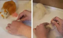 клас майсторски