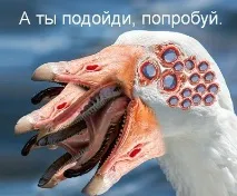 предупредени