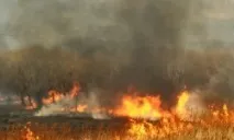 градски детска