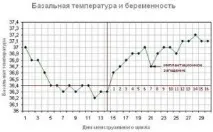 Яка має бути базальна температура при настанні вагітності вагітності