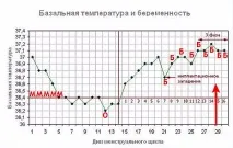 Яка має бути базальна температура при настанні вагітності бути
