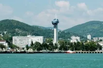 2019