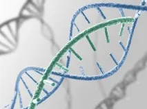 Як генерувати та замовляти qPCR праймери замовляти