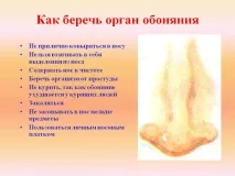 Як берегти орган нюху - Презентація 14634-13 берегти