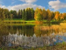 черти основните
