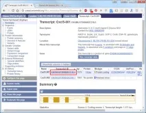 Як генерувати та замовляти qPCR праймери генерувати